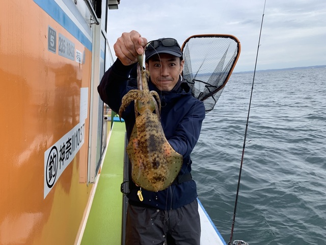 特盛り!アオリイカ釣り場 関東周辺（千葉・神奈川・静岡・新潟）厳選