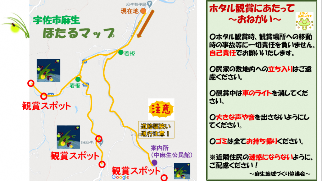 ほたるの見ごろ情報／宇佐市
