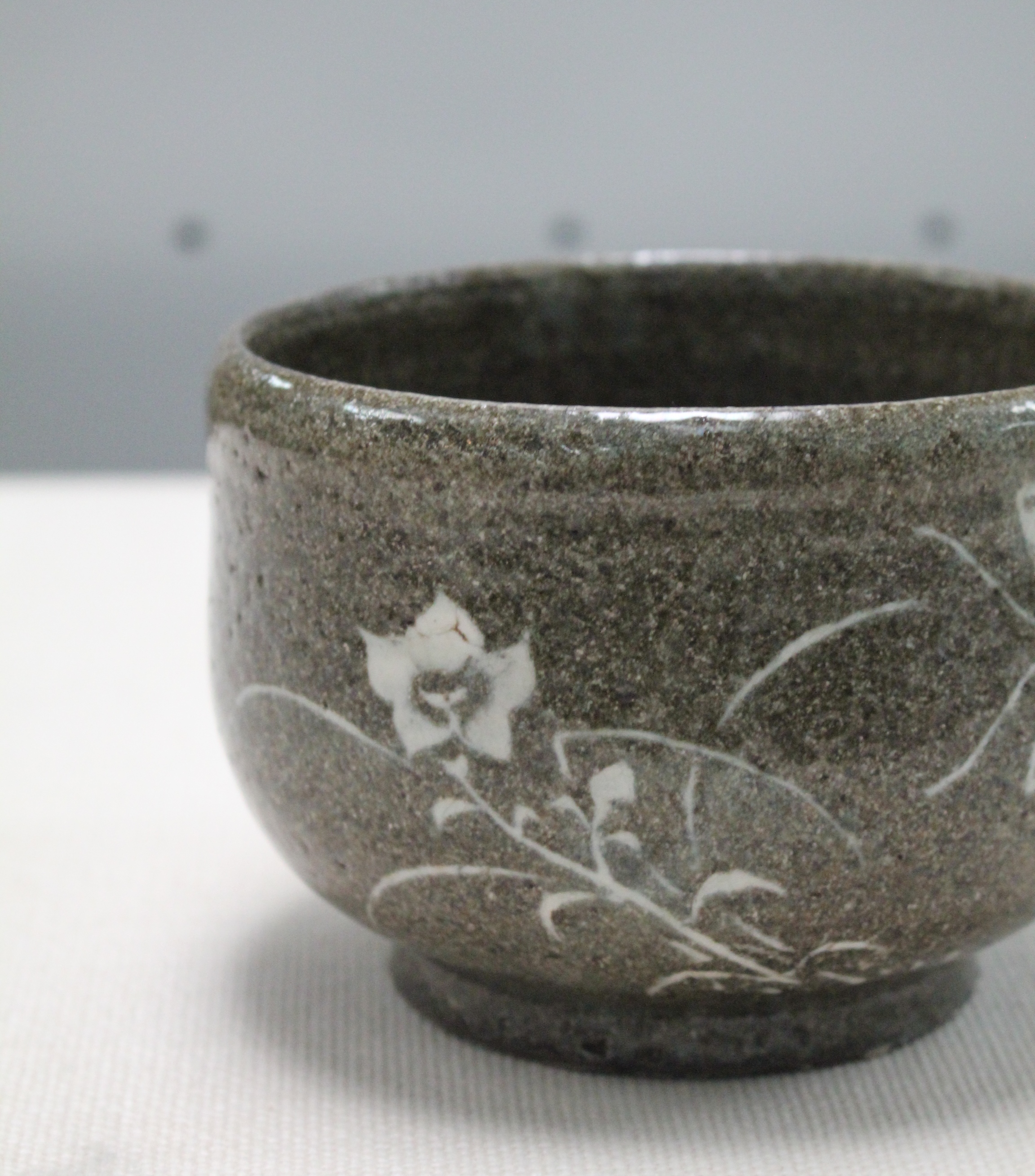 八代市立博物館 未来の森ミュージアム-イベント案内-