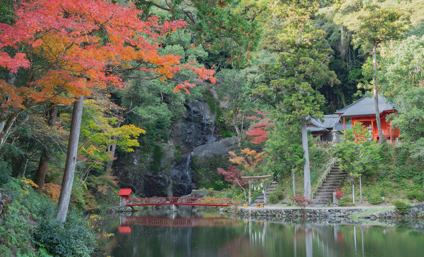 南国市公式ホームページ