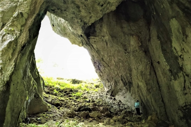羅生門（らしょうもん）・羅生門さくら公園 | スポット | にいみ公式