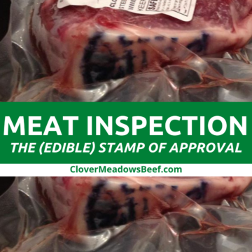 All About the Meat Inspection Process for Food Safety - Clover