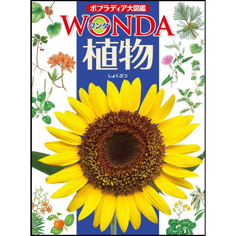 ポプラディア大図鑑WONDA4 植物／池田博｜絵本のギフト通販【クレヨン