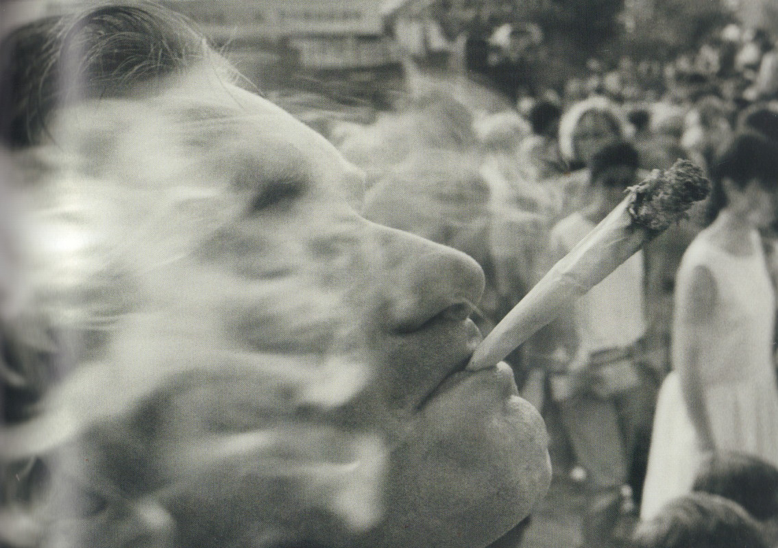 BEEZER. Wild Dayz. - Cult Jones