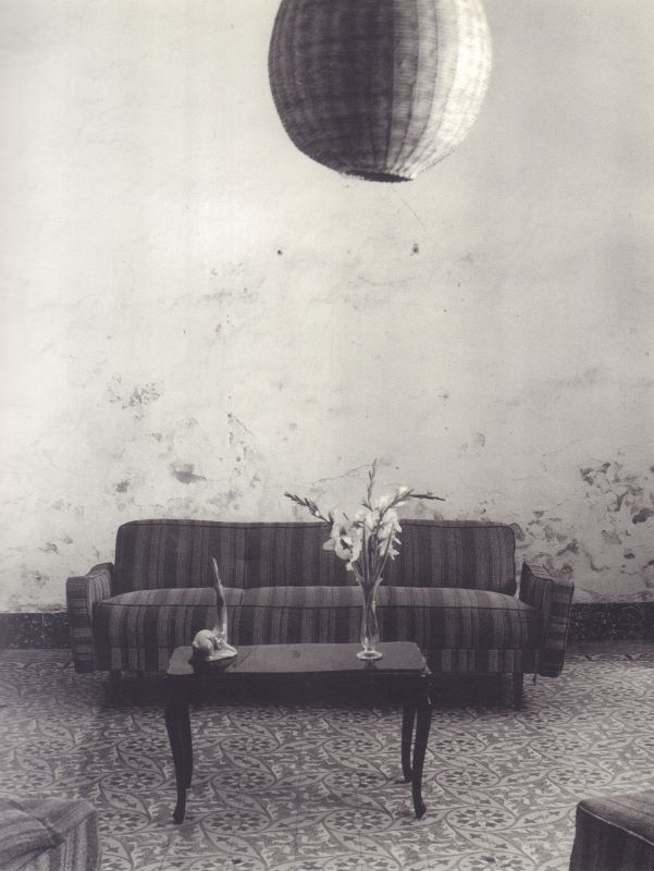 KANDER, Nadav. Beauty's Nothing. - Cult Jones