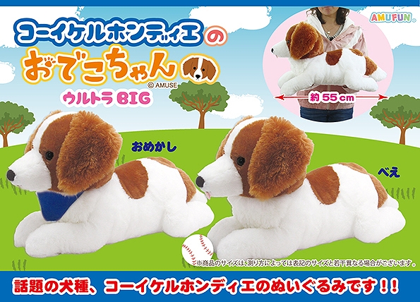 ≪11月の新商品≫コーイケルホンディエのおでこちゃん-NEW ITEM