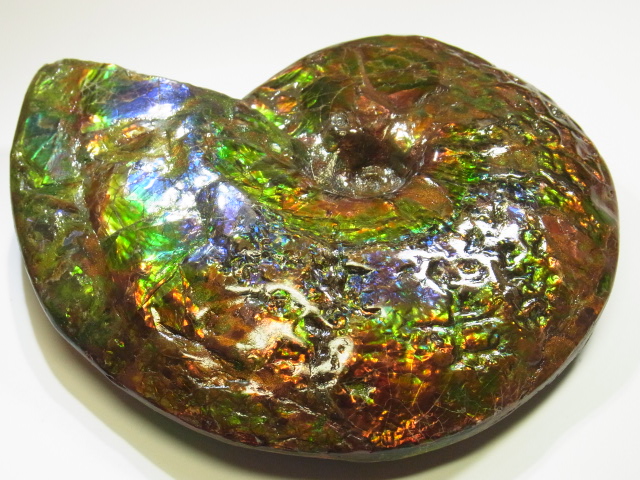 アンモライト原石 アンモライト研究所【化石ジュエリー宝石販売ルーム】