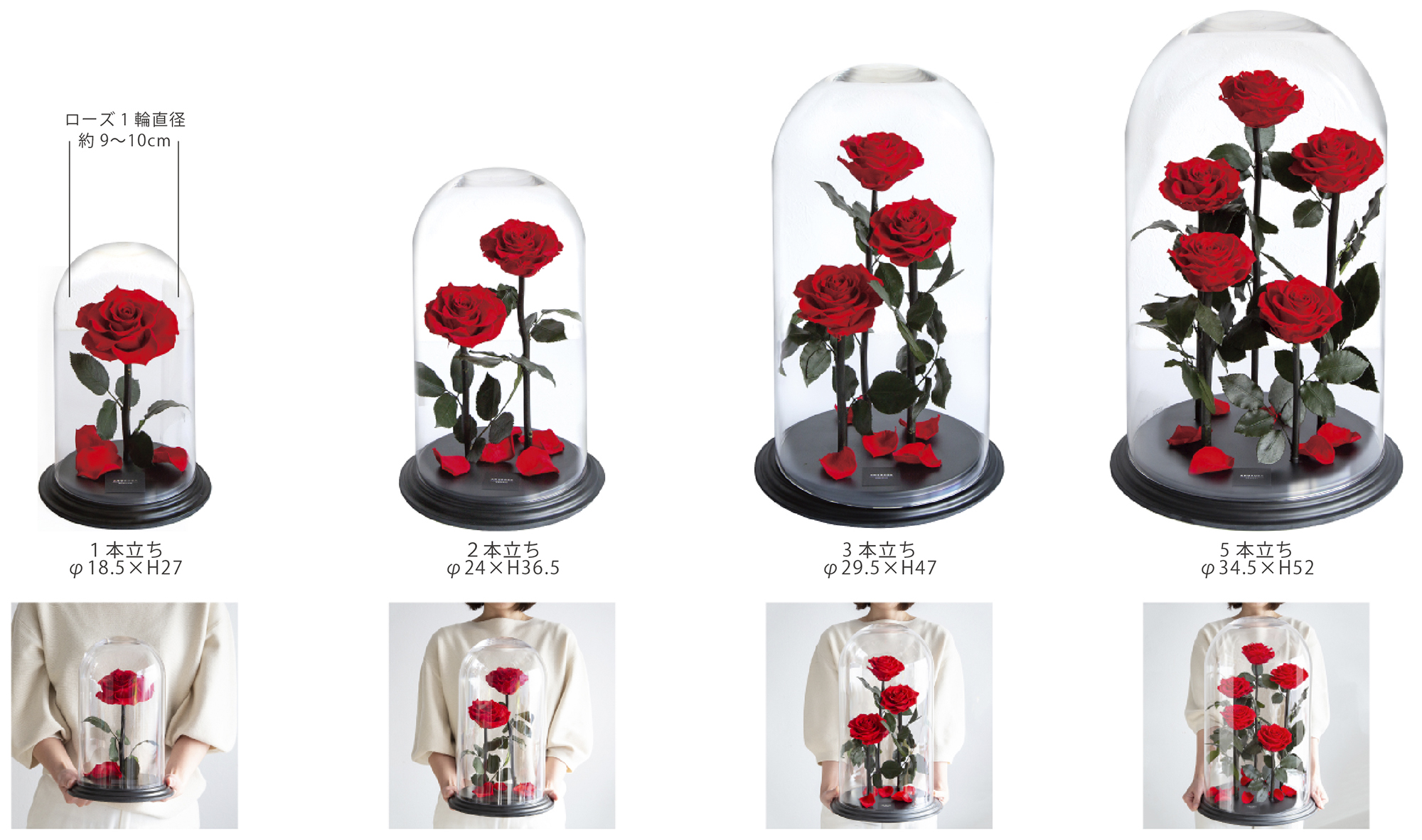 DESTINY ROSE（デスティニーローズ） | 最高級プリザーブドフラワーの