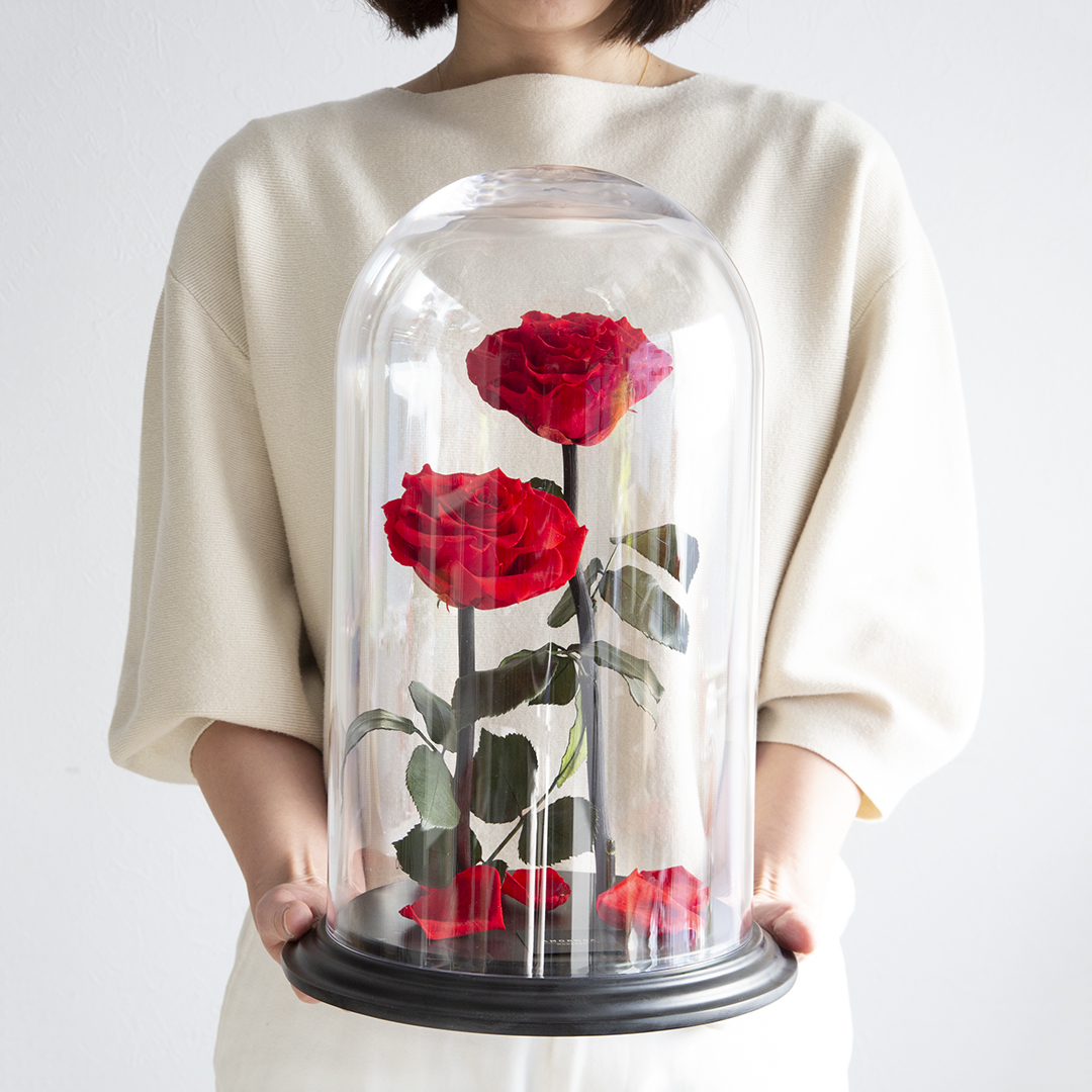 DESTINY ROSE（デスティニーローズ） | 最高級プリザーブドフラワーの