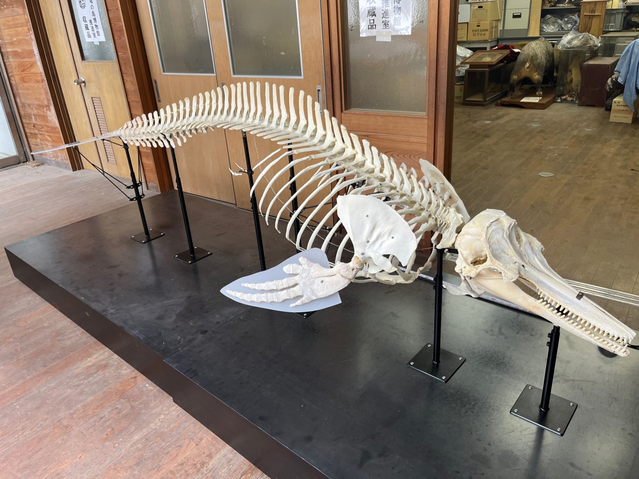 イベント情報 | 天草市立図書館