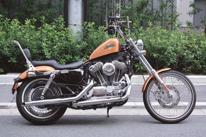 ブラスワイルドナロースラッシュ スポーツスターモデル用 - MOTOR