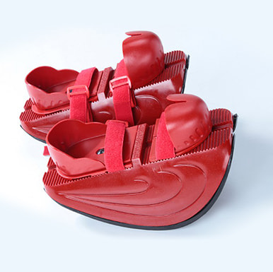 マスターストレッチレッスン紹介 | 東京渋谷・表参道の大人向けバレエ