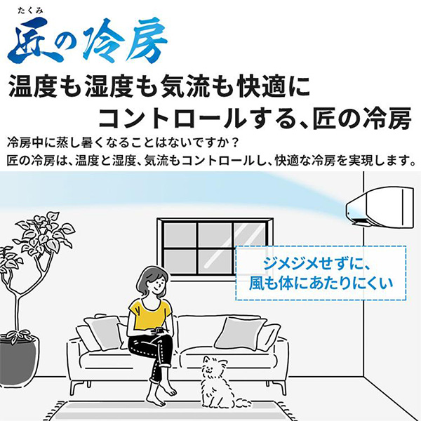 AY-S25V-W シャープ ルームエアコン Vシリーズ 主に8畳用 ホワイト