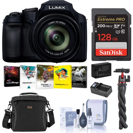 Panasonic LUMIX FZ80D 18.1MP Digital Camera, Bundle with