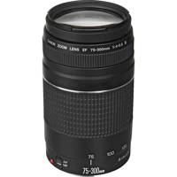 Canon EF 75-300mm f/4-5.6 III Lens 6473A003 - Adorama