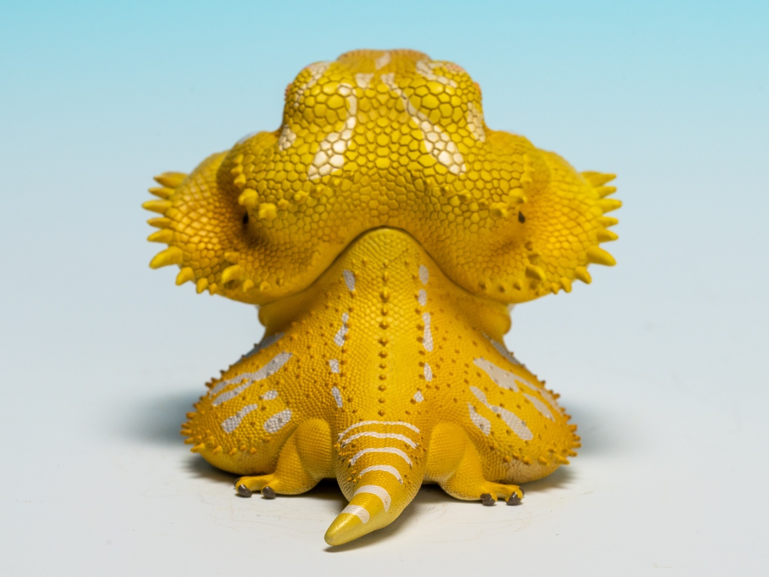 フトアゴヒゲトカゲ（黄色） - アジアアロワナ専門店ラフレシア