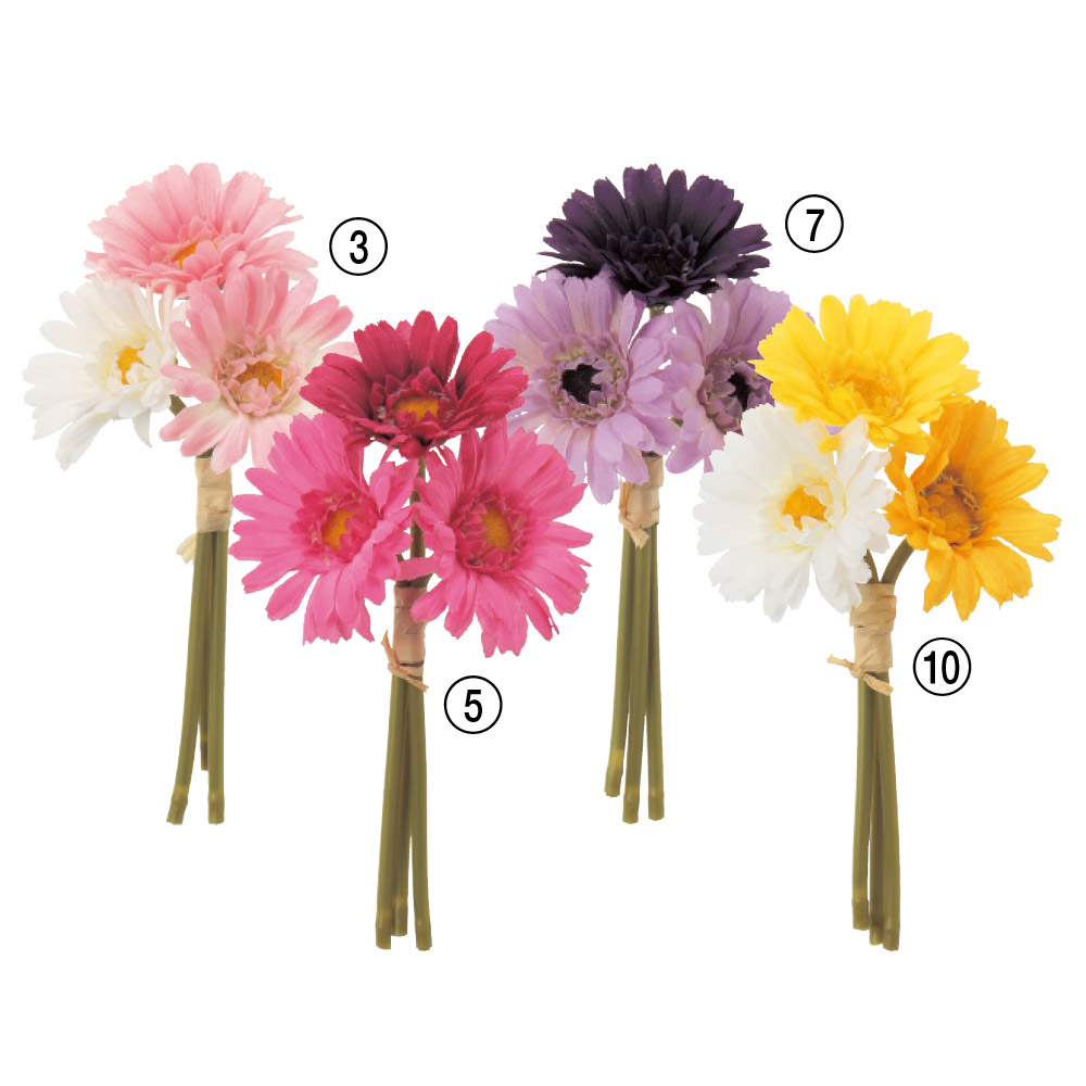 ミニガーベラバンチ（1束3本）｜商品案内｜株式会社アスカ商会