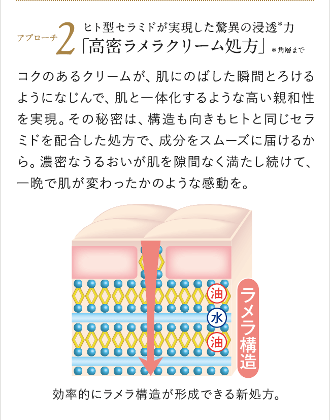 インナーエフェクター レフィル ＜つめかえ用レフィル＞| アテニア公式