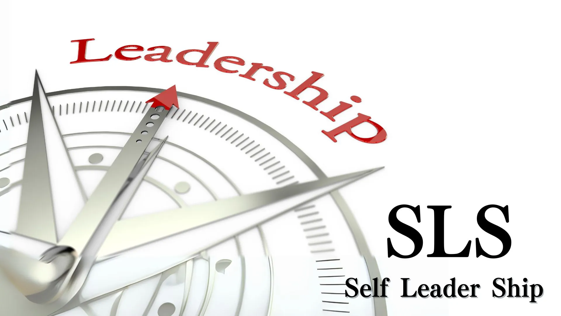 SLS(Self Leader Ship) セルフリーダーシップを体得する | 株式会社