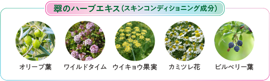 SP】保湿成分＆水分をたっぷり補給｜アザレ化粧品【公式サイト】-AZARE