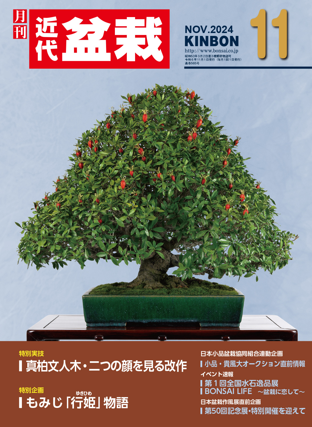 月刊「近代盆栽」2024年11月号 | 盆栽、盆栽書籍、盆栽鉢の通販│近代出版