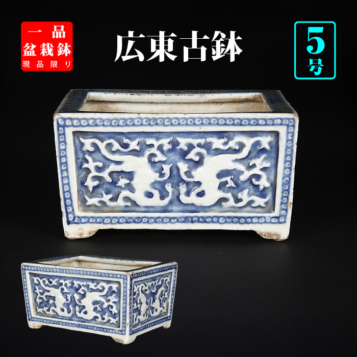 支那鉢（中国古鉢） | 盆栽、盆栽書籍、盆栽鉢の通販│近代出版