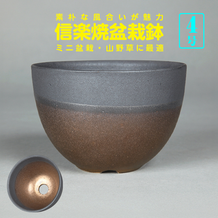 盆栽鉢 | 盆栽、盆栽書籍、盆栽鉢の通販│近代出版