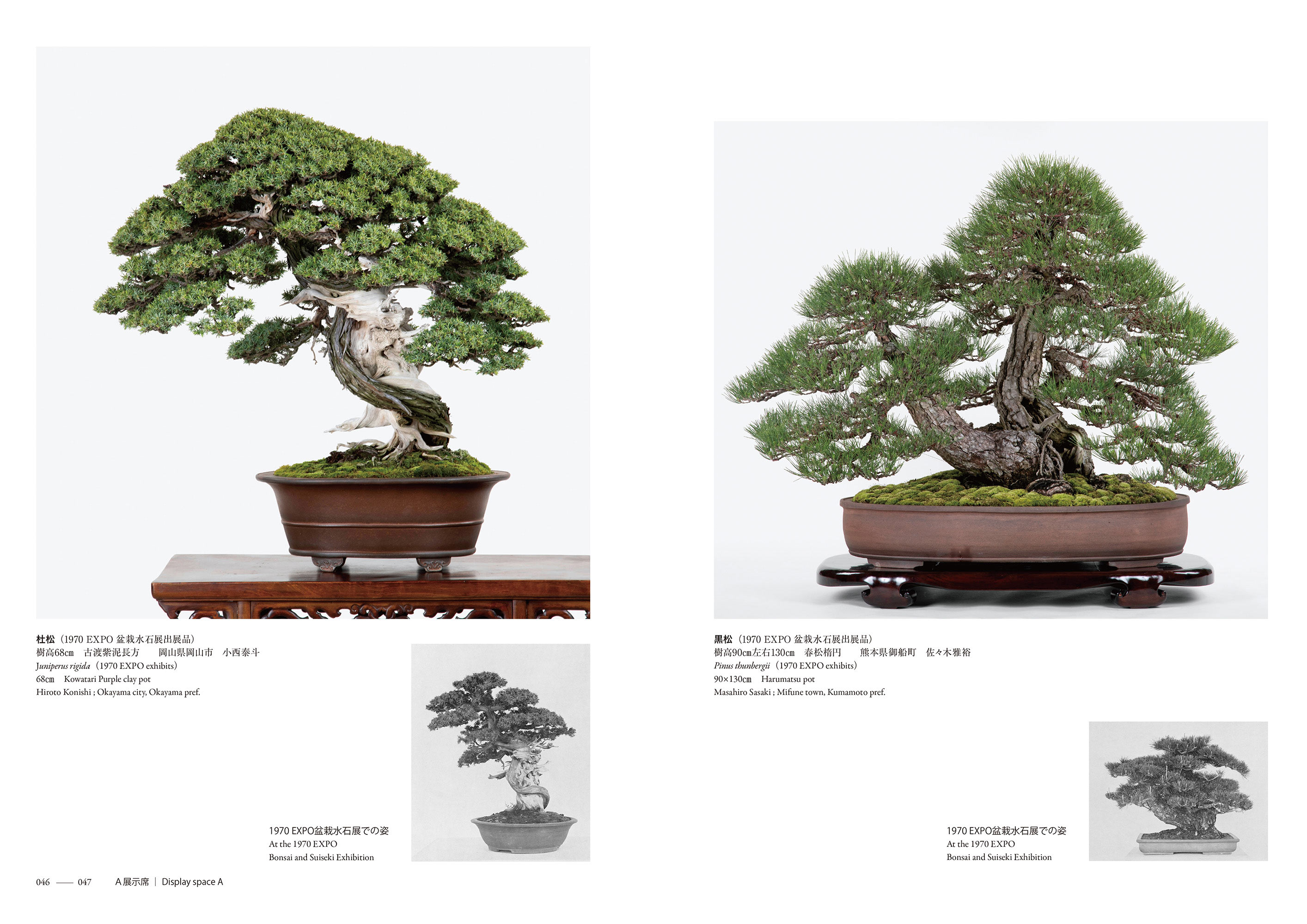EXPO2025 日本盆栽•水石展記念帳 | 盆栽、盆栽書籍、盆栽鉢の通販