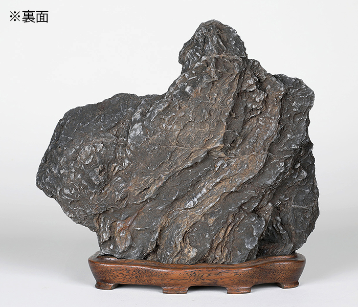 千仏石 | 盆栽、盆栽書籍、盆栽鉢の通販│近代出版