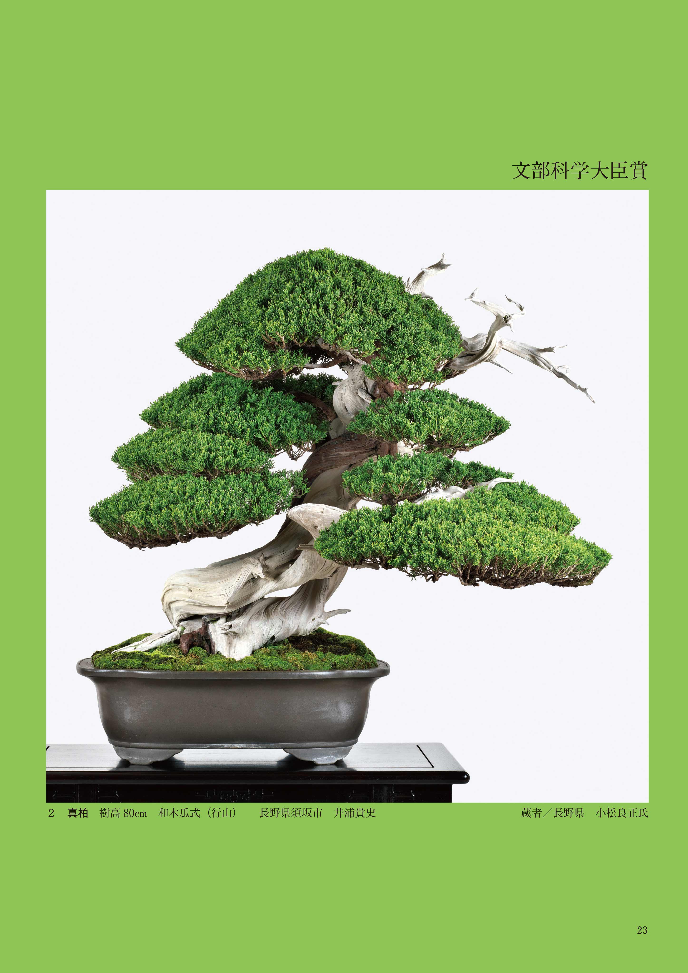 第50回 日本盆栽作風展 記念帖 | 盆栽、盆栽書籍、盆栽鉢の通販│近代出版