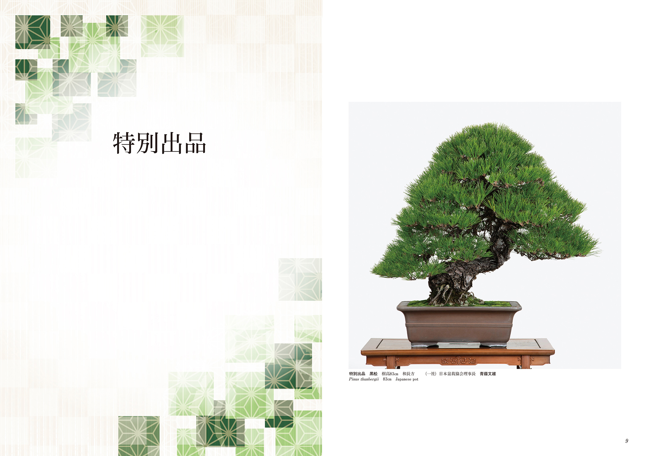 第44回 日本盆栽大観展 記念帖 | 盆栽、盆栽書籍、盆栽鉢の通販│近代出版