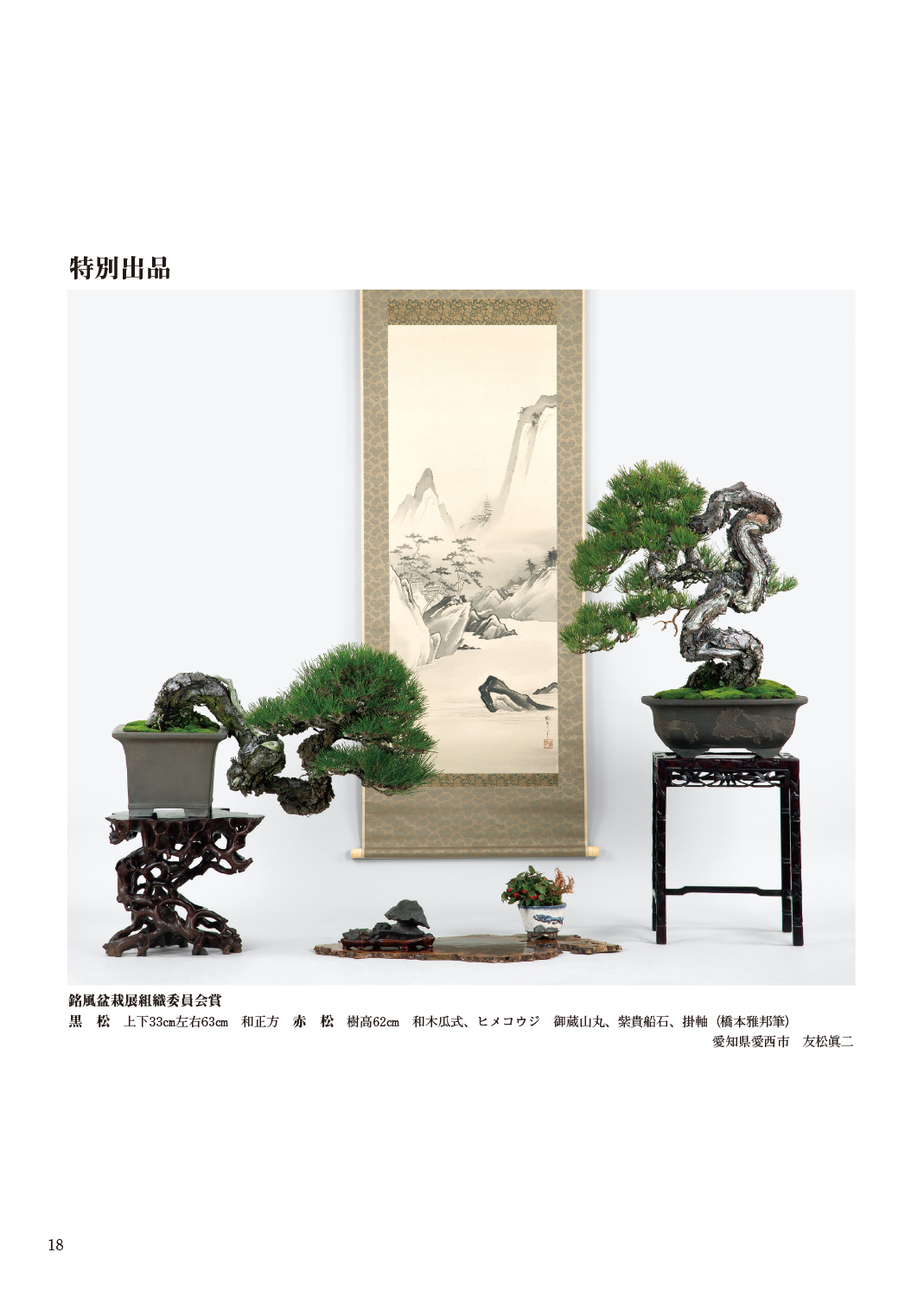 国風盆栽展 第37回 記念帖 国風盆栽会 宮内庁 高松宮家 国風盆栽展 第