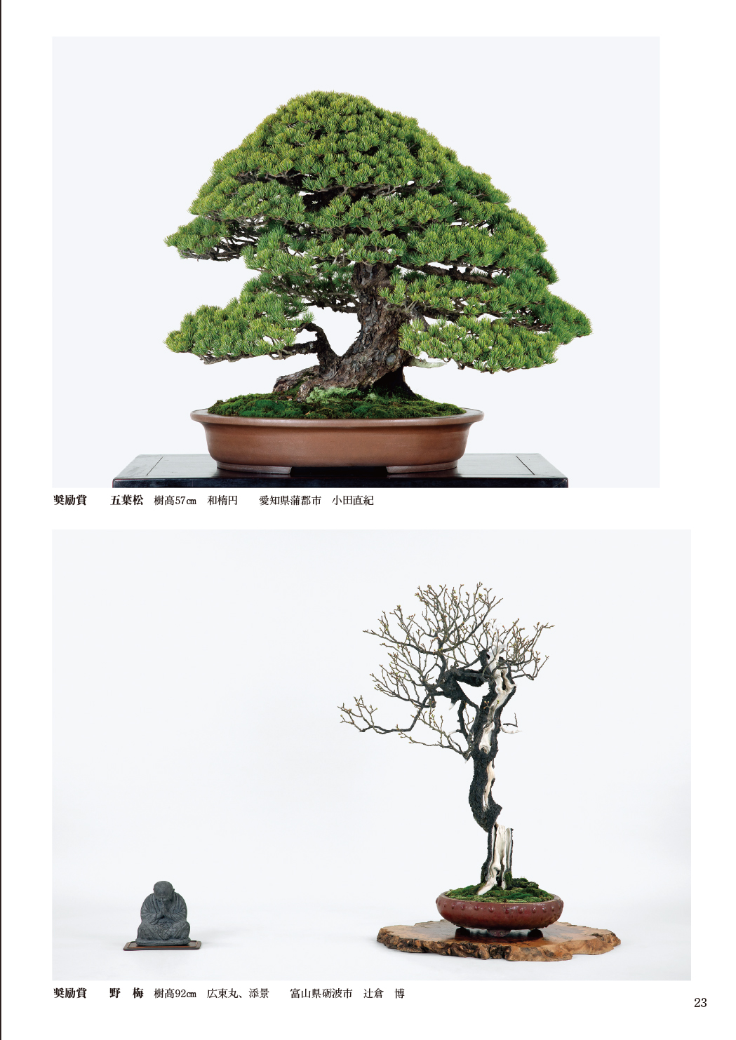 第93回 銘風盆栽展 記念帖 | 盆栽、盆栽書籍、盆栽鉢の通販│近代出版