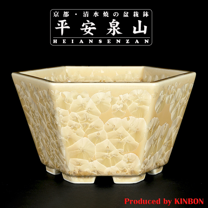 平安泉山黄花結晶六角鉢 | 盆栽、盆栽書籍、盆栽鉢の通販│近代出版