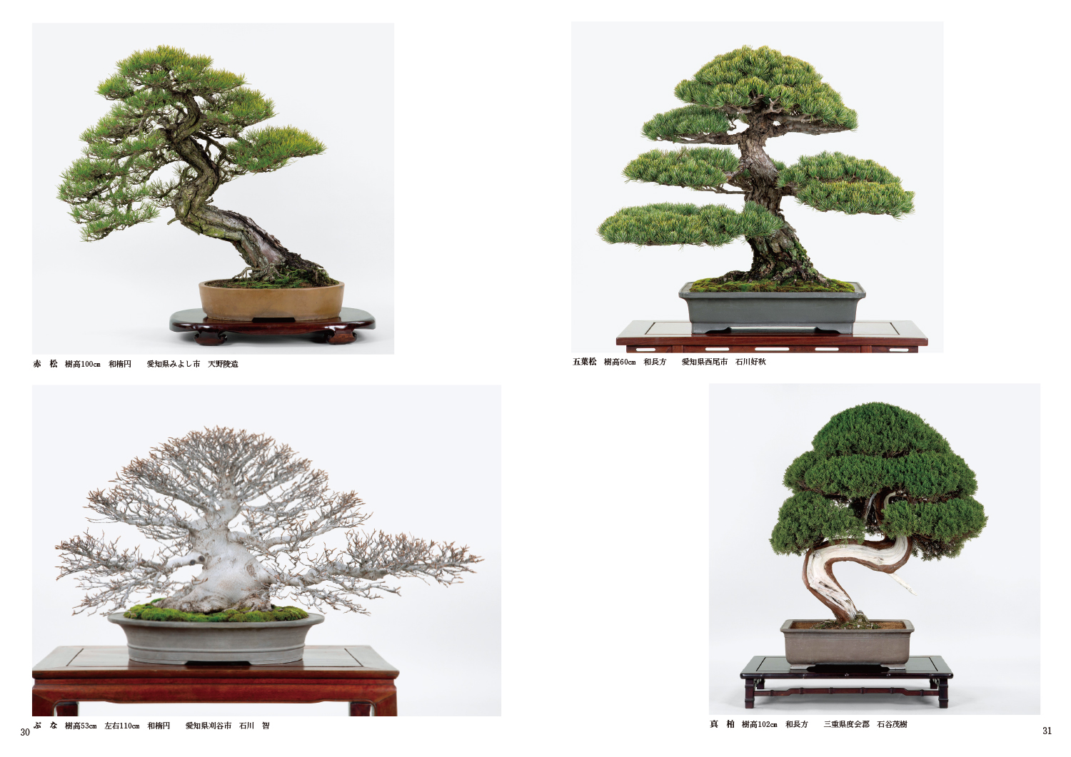 第91回 銘風盆栽展 記念帖 | 盆栽、盆栽書籍、盆栽鉢の通販│近代出版