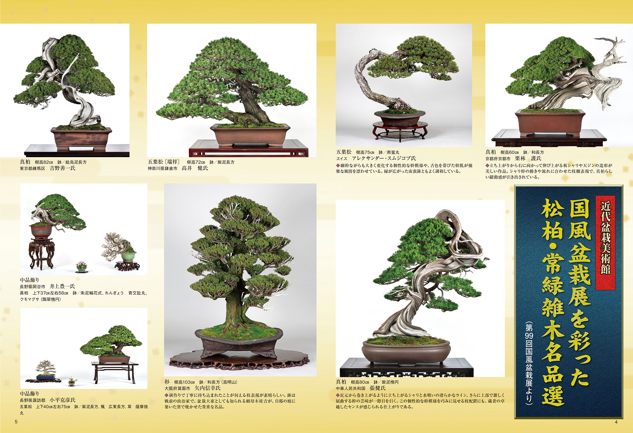 日本盆栽協会誌 48号 49号50号 と盆栽春秋 128冊 日本盆栽協会誌 48号