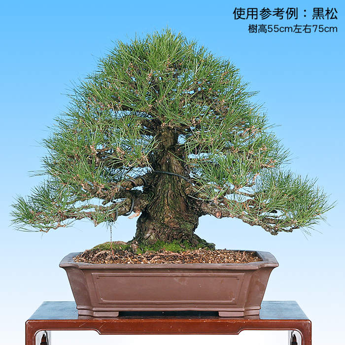 紅泥尖角長方紫砂鉢 多肉植物鉢 紫砂鉢 盆栽鉢 植木鉢 小品盆栽鉢 大品