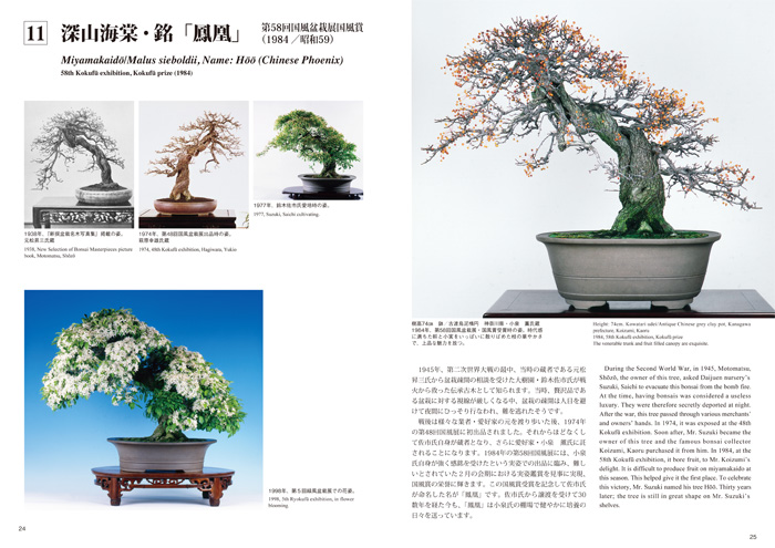 英訳付 盆栽名品集 第1巻 最高賞の名木たち（一） | 盆栽、盆栽書籍