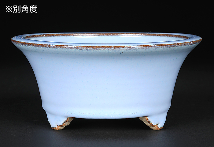 広東反縁丸鉢〔石峰雨竹〕 | 盆栽、盆栽書籍、盆栽鉢の通販│近代出版