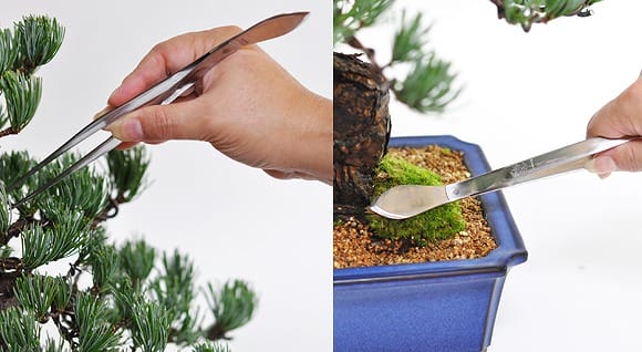 盆栽道具7点セットを販売｜盆栽妙 – 盆栽妙 本店