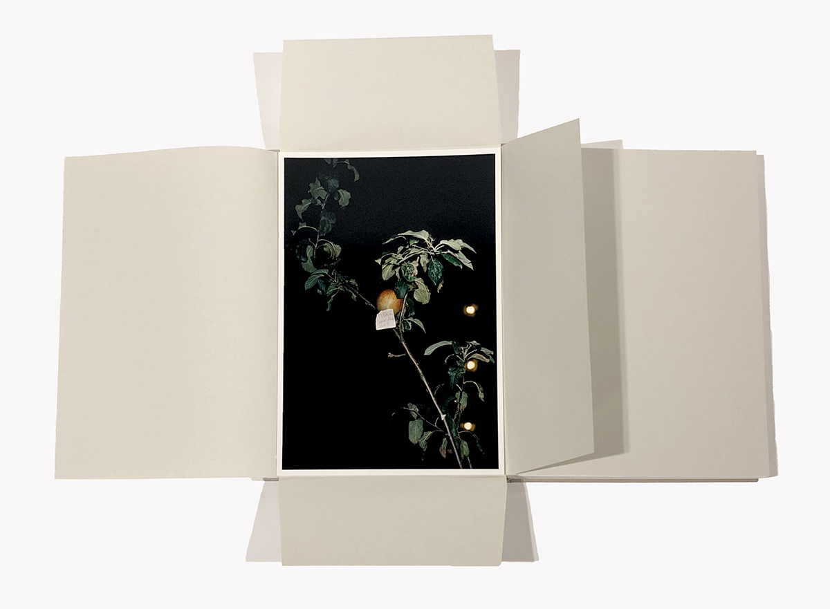 if one thing matters, everything matters Wolfgang Tillmans 【特装