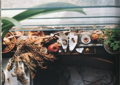 Wolfgang Tillmans Wako Book 2 / 写真・編・デザイン：ヴォルフガング