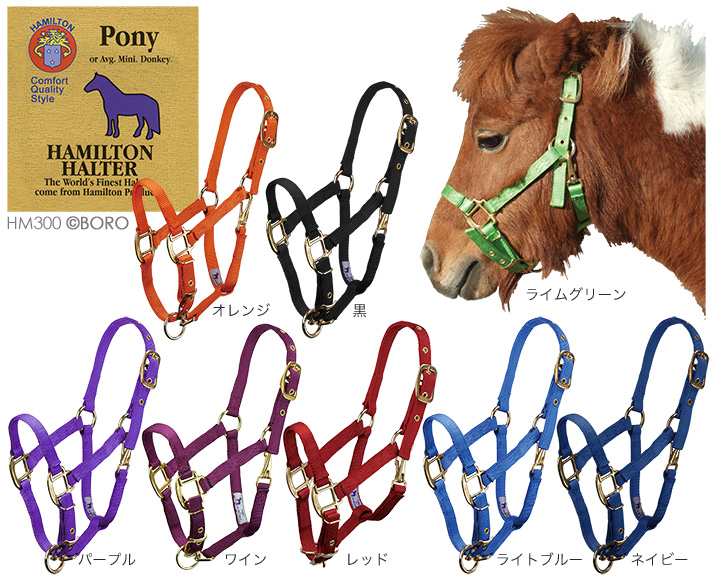 馬具・乗馬用品・ハミルトンスモールポニー無口・ボロライディング