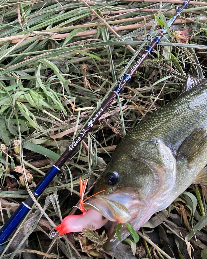 ツララ ハマズ アルデア 58 TULALA HAMAZU ARDEA - 【バス・トラウト