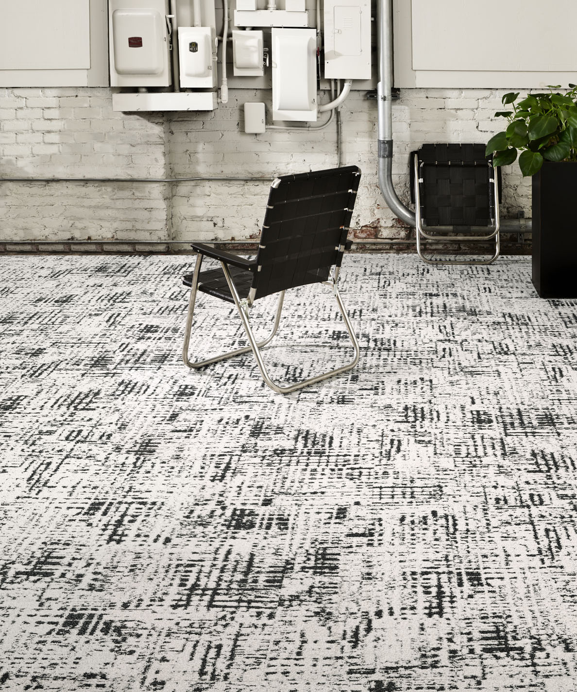 Early Bird - Bentley Mills