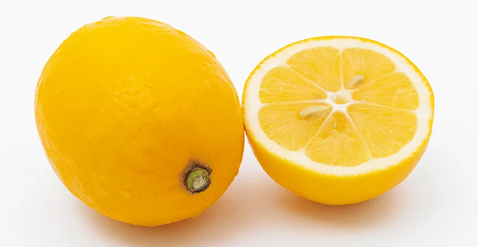 イトーノンFコンディショニングクリーム | 化粧品 | 伊藤超短波 エステ