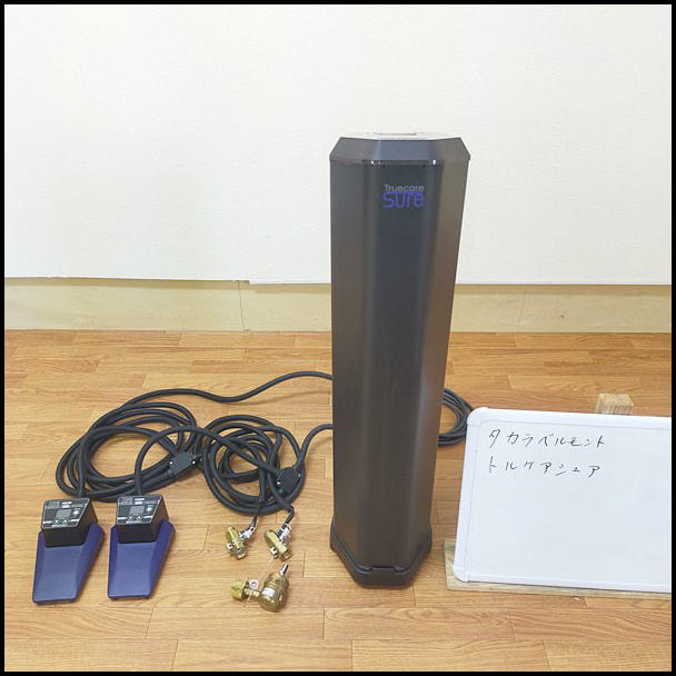 タカラベルモント 炭酸泉発生機 Truecare sure トルケアシュア
