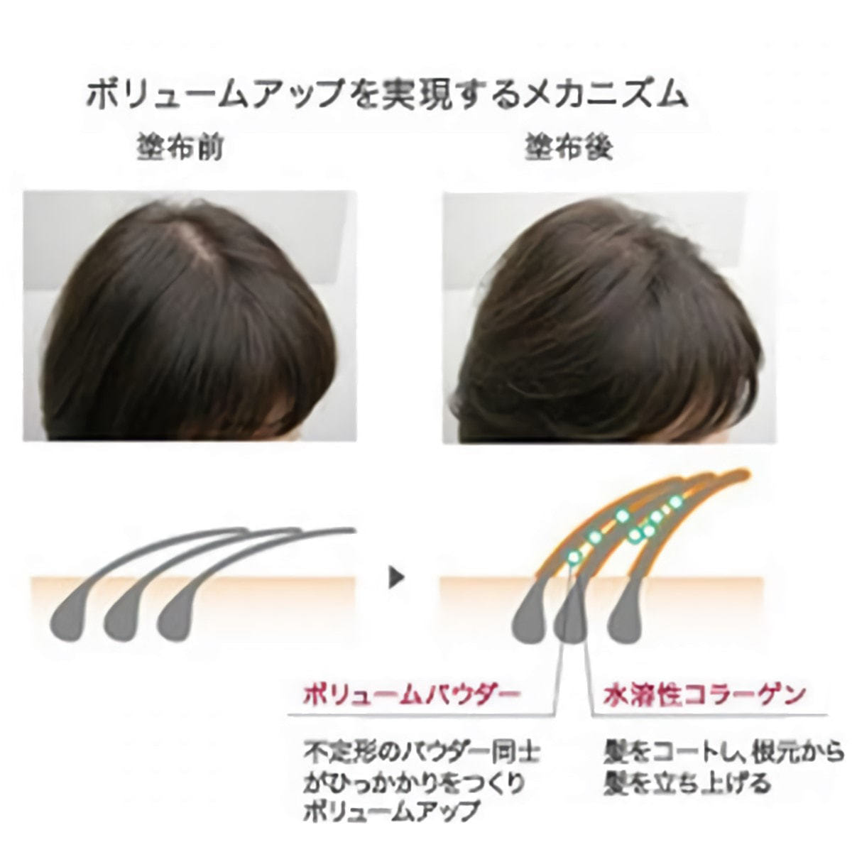 アデノバイタル ルートスプレー150gの卸・通販 | ビューティガレージ