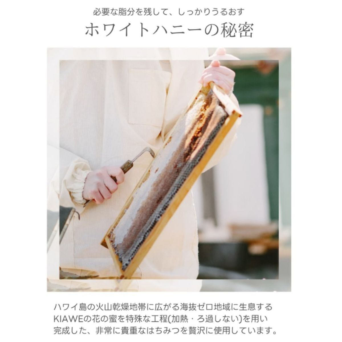 ROYFACE（ロイフェイス）WHメイクフロートジェル業務用 380gの卸・通販