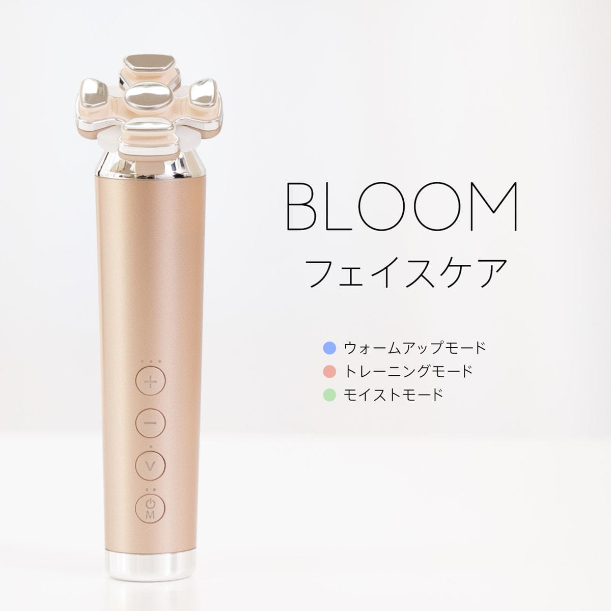 ZOGANKIN BLOOM（ゾーガンキンブルーム）の卸・通販 | ビューティガレージ